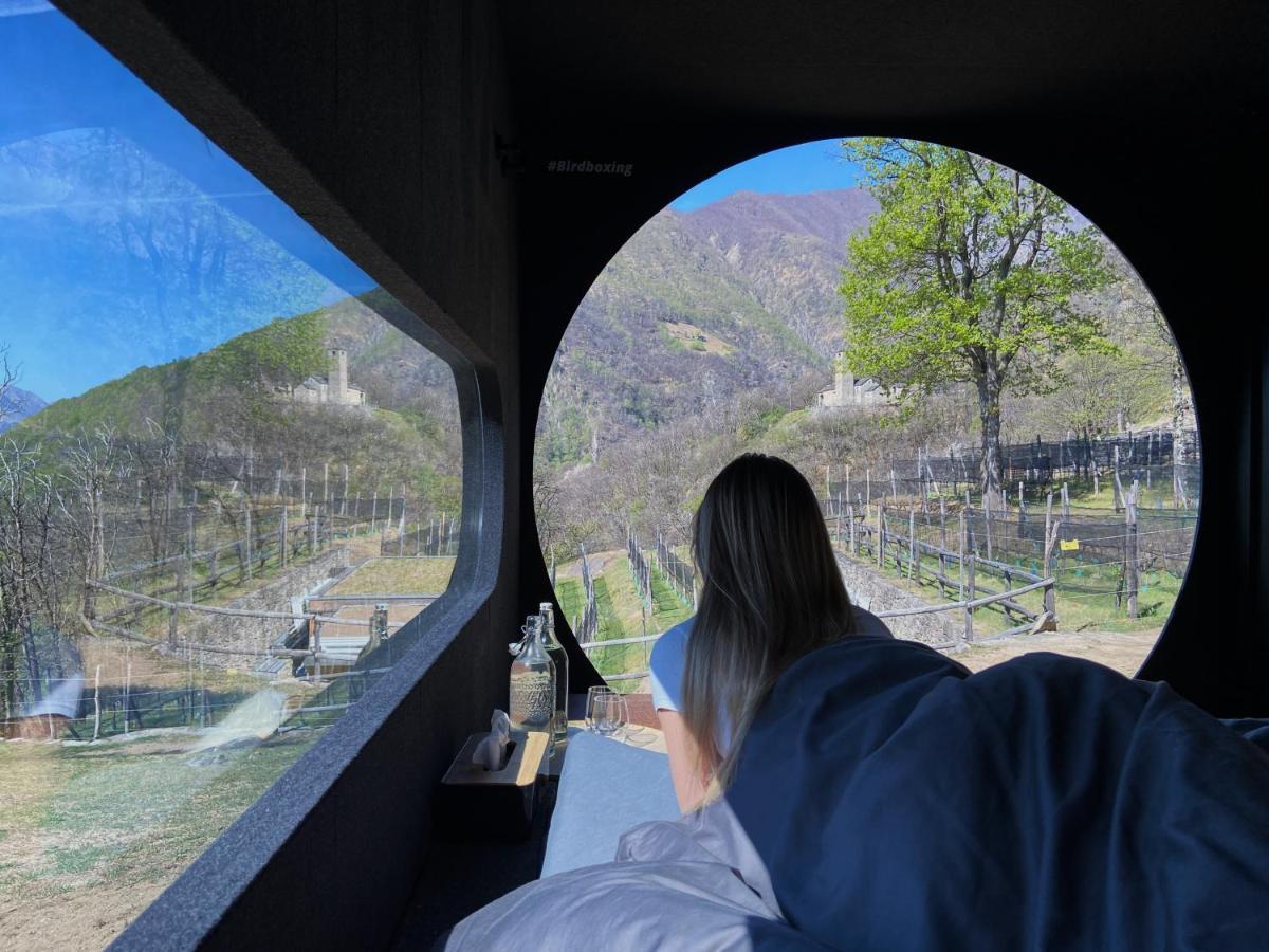 فندق Birdbox Curzutt Monte Carasso المظهر الخارجي الصورة