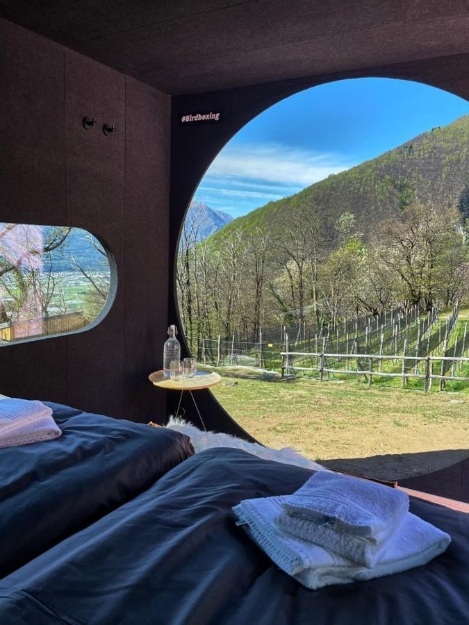فندق Birdbox Curzutt Monte Carasso المظهر الخارجي الصورة