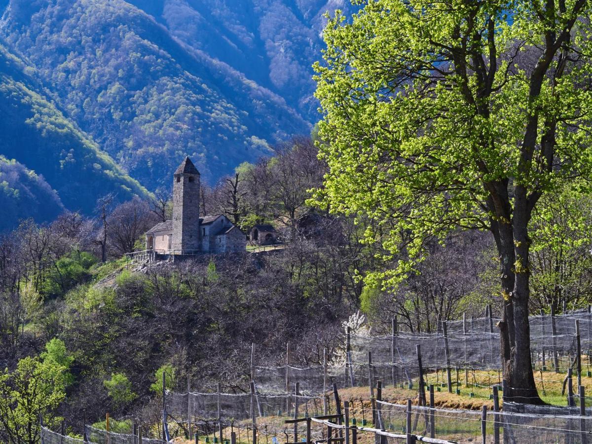 فندق Birdbox Curzutt Monte Carasso المظهر الخارجي الصورة
