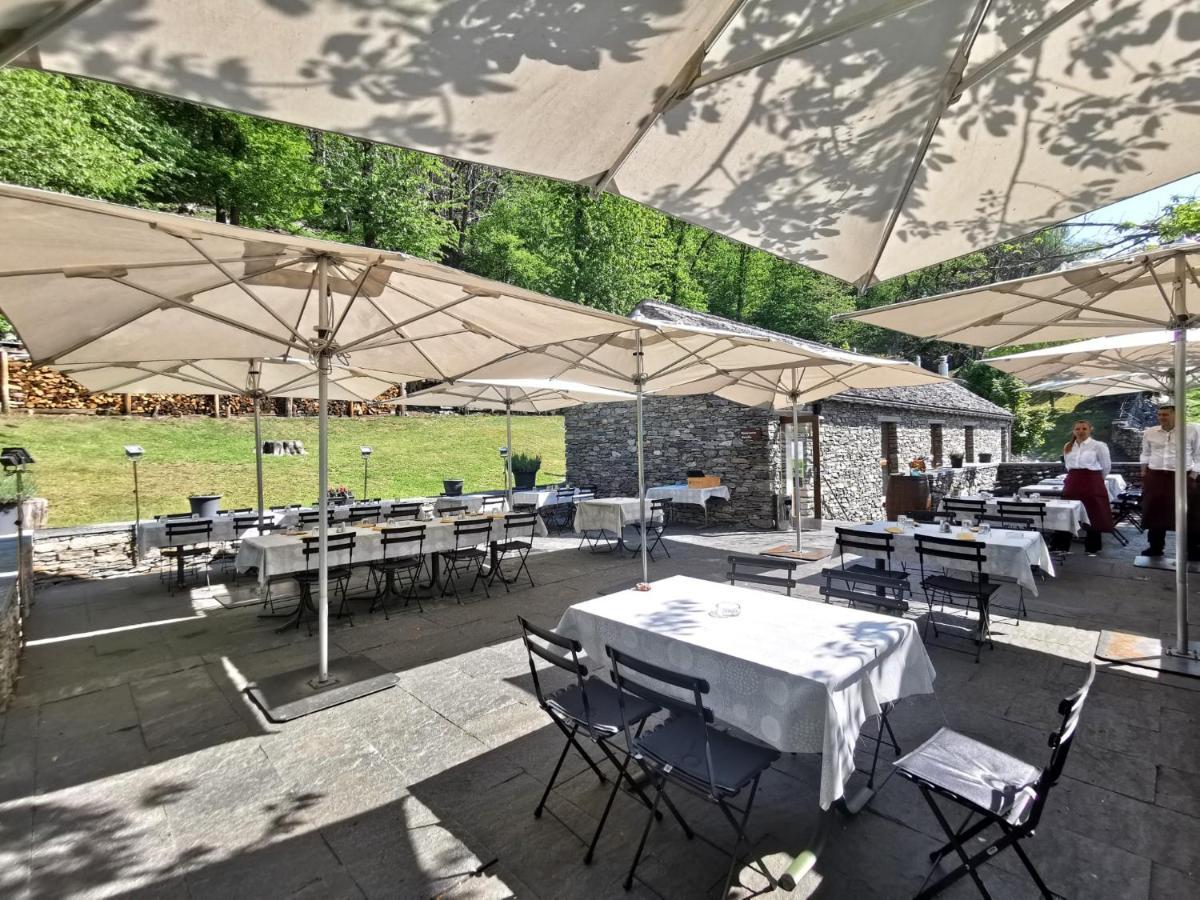 فندق Birdbox Curzutt Monte Carasso المظهر الخارجي الصورة